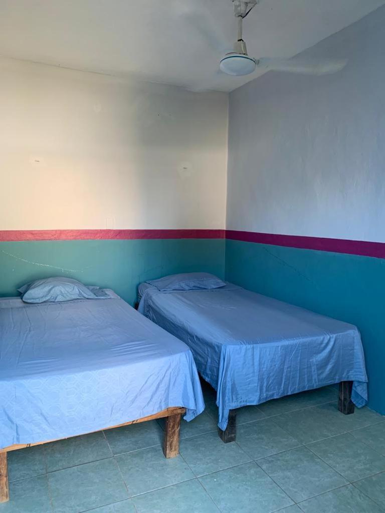 Hostal Y Temazcal Guemez ピステ エクステリア 写真