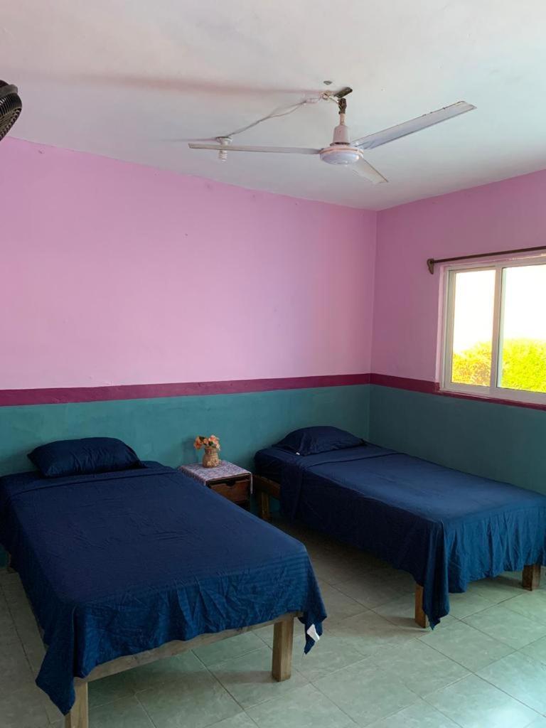Hostal Y Temazcal Guemez ピステ エクステリア 写真